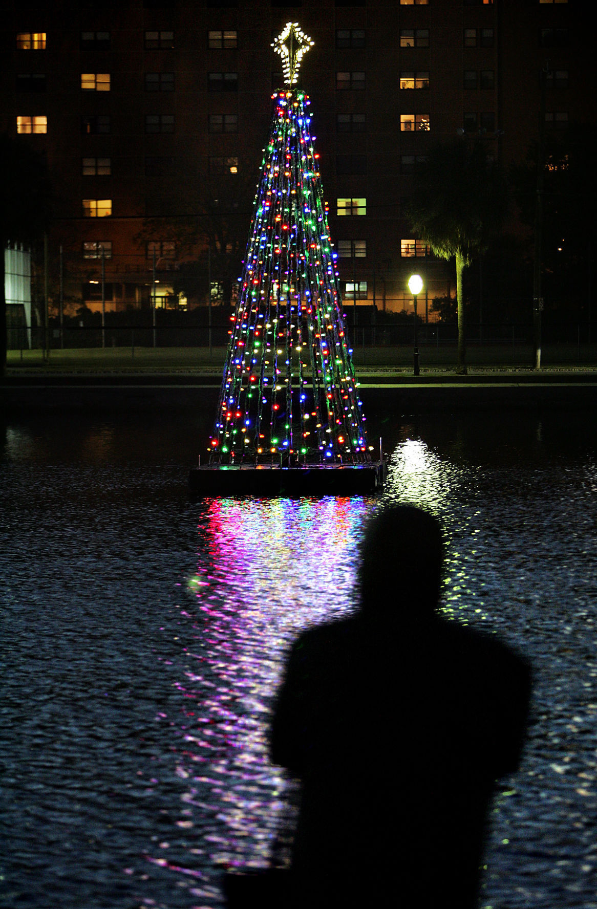 Light the lake (copy)